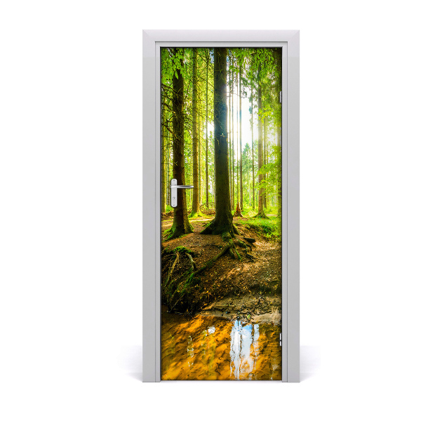 Poszter tapéta ajtóra Erdő a napon