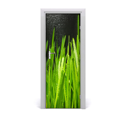 Poszter tapéta ajtóra Fű