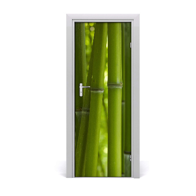 Ajtóposzter öntapadós Bambusz erdő