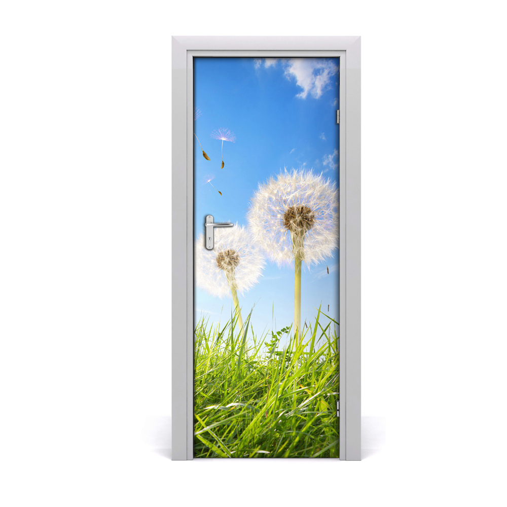 Ajtómatrica Pitypang a réten