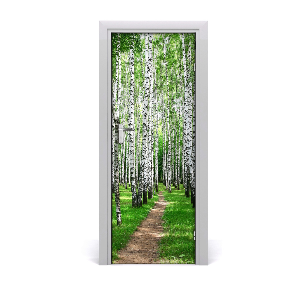 Ajtó tapéta Nyírfa erdei ösvény