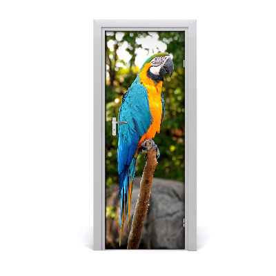 Ajtóposzter Ara papagáj
