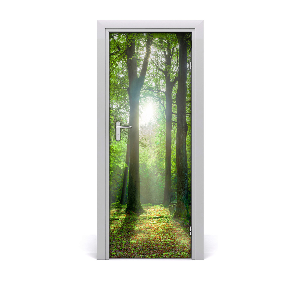 Ajtóposzter öntapadós Nap az erdőben