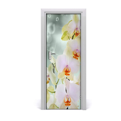 Ajtó tapéta Orchidea virág