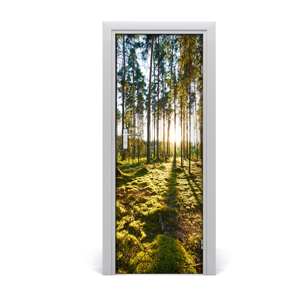 Ajtó méretű poszter Napsugarak a fákon