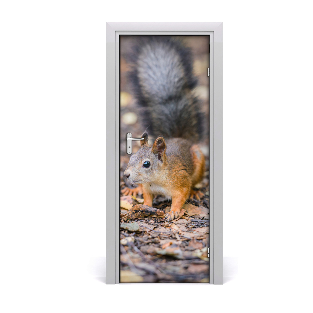 Ajtóposzter Mókus az erdőben