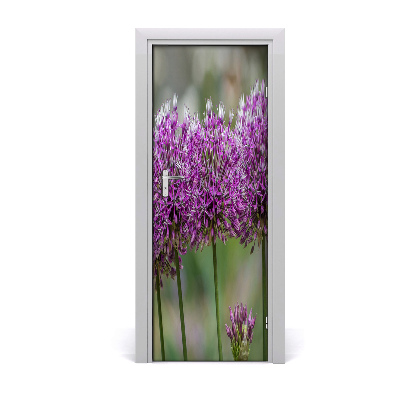 Ajtóposzter öntapadós Fokhagyma virágok