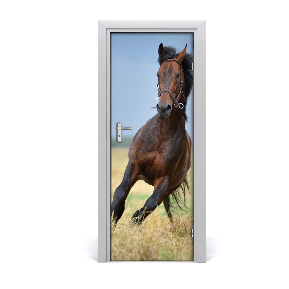 Ajtómatrica Ló a mezőn