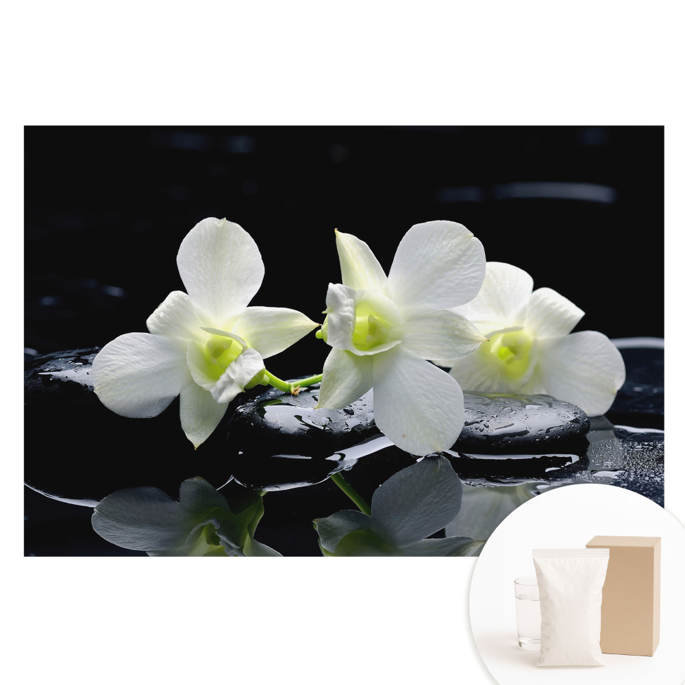 Fehér orchideák köveken vlies fotótapéta