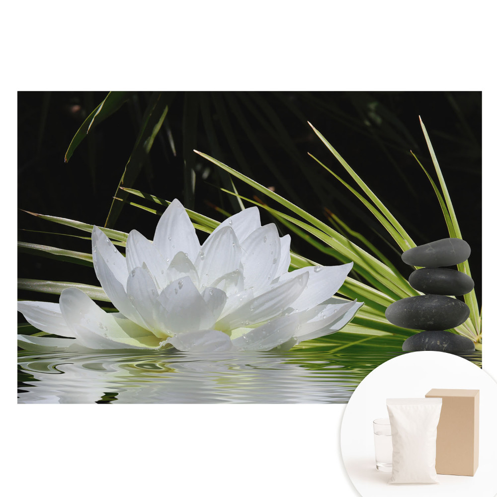 Nagyméretű fotótapéta a falra Fehér liliomkövek meditációja