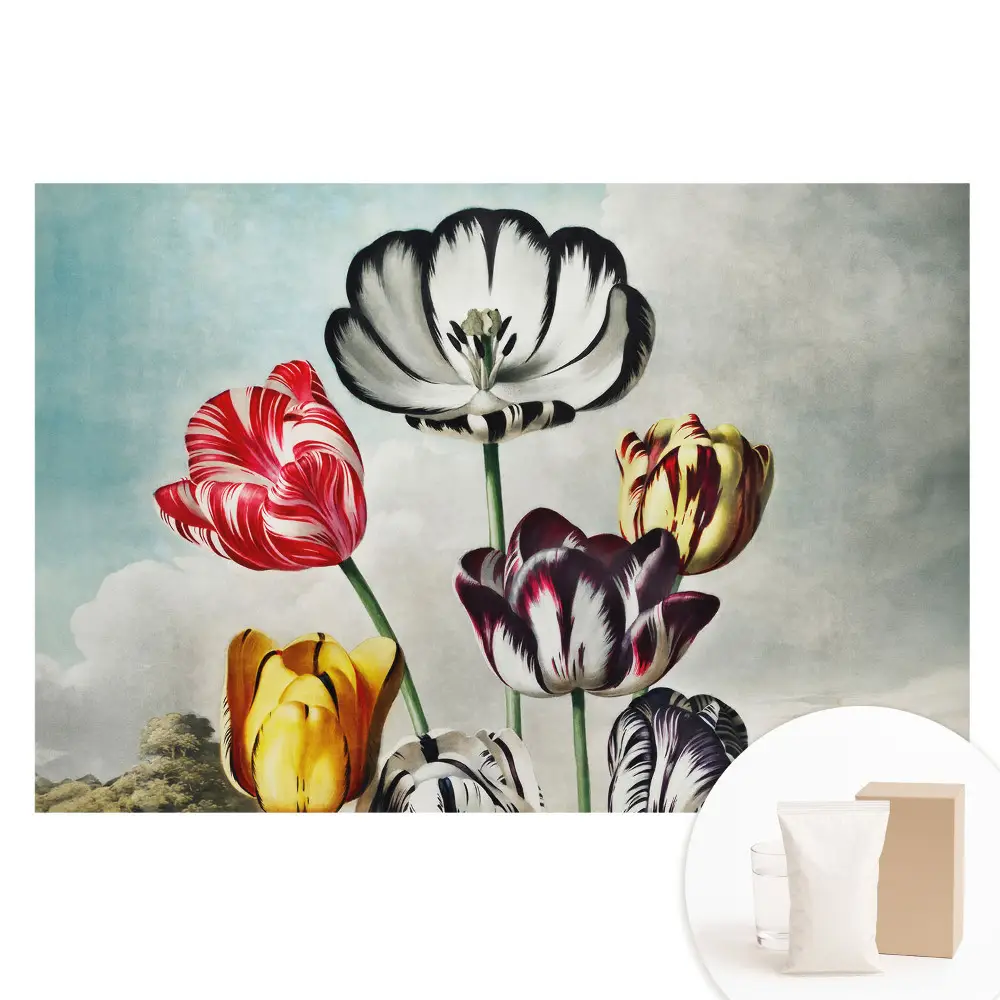 Tulipáncsokor mintás vlies tapéta, klasszikus elegáns stílusban