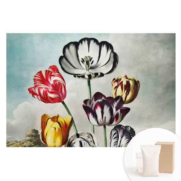 Nem szőtt tapéta Tulipáncsokor, klasszikus elegancia