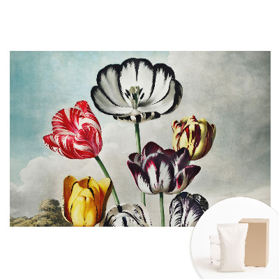 Nem szőtt tapéta Tulipáncsokor, klasszikus elegancia