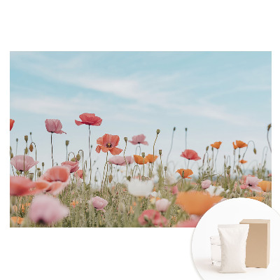 Nem szőtt tapéta nyomtatással Színes pipacsok a kék ég ellen