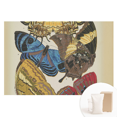 Nagyméretű fotótapéta a falra Színes pillangók elegáns kompozícióban