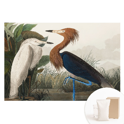 Nem szőtt tapéta Elegáns madarak a növényzetben