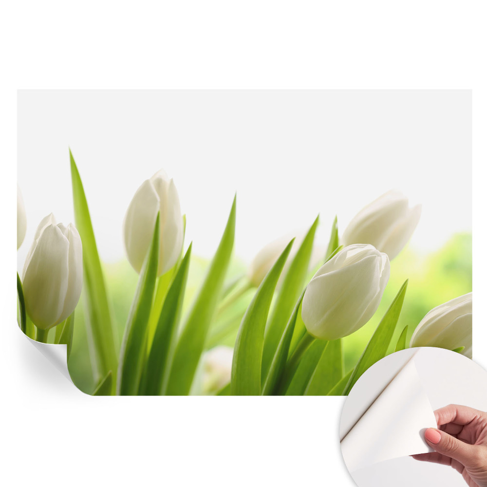 Öntapadós fotótapéta Fehér tulipánok