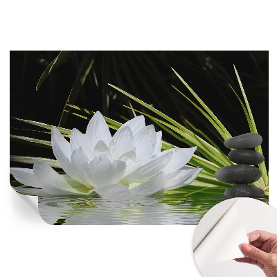 Liliom meditáció öntapadós fotótapéta