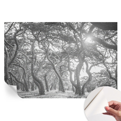 Öntapadós falfestmény Légköri erdő mintával