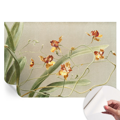 Öntapadós tapéta a nappaliba Klasszikus orchideák