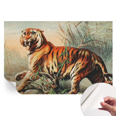Öntapadós falfestmény Tigris természet