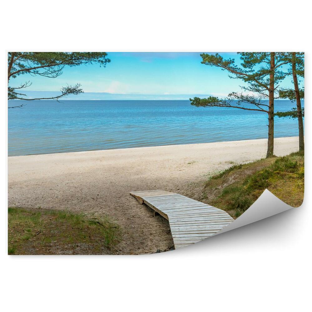 Öntapadó fotótapéta Híd strand fák óceán zöld