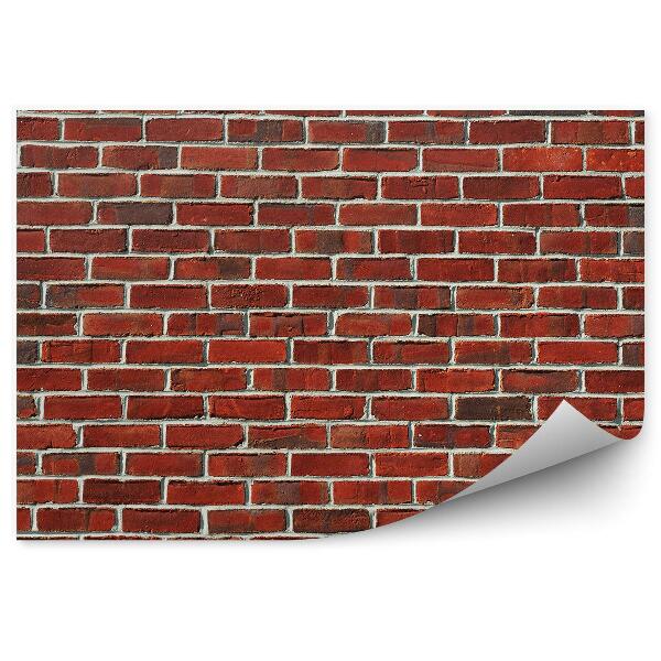 Fotótapéta Fal textúra