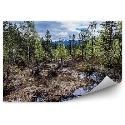 Öntapadós fotótapéta falra Természet erdei patak hegyek