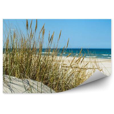 Modern fotótapéta Füves dűnék strand Balti-tenger égbolt Łeba