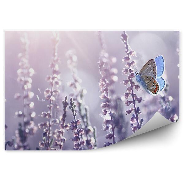 Fotótapéta Egy pillangó hanga ágán