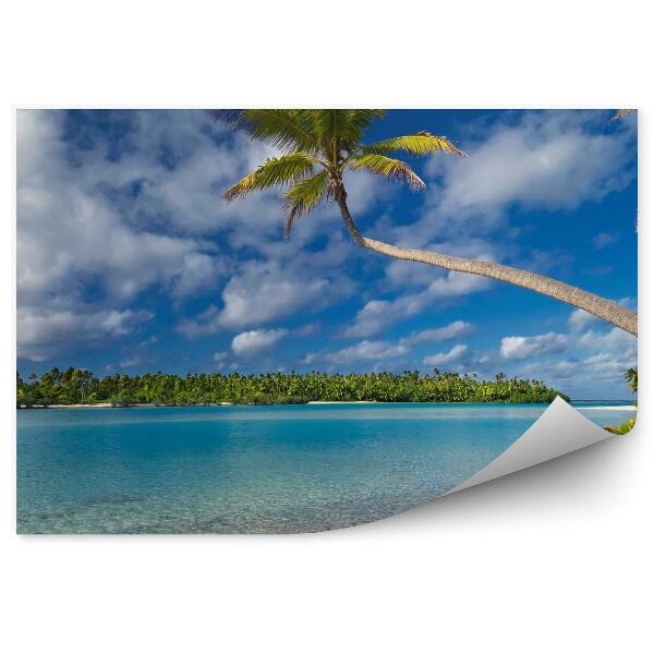 Öntapadós fotótapéta Pálmafák víz homok szelíd felhők