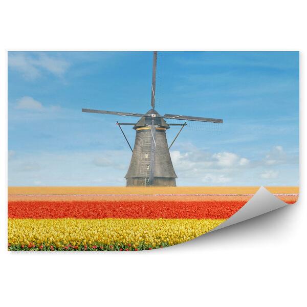 Poszter tapéta Tulipán mező, Hollandia, ég, felhők