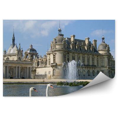 Fotótapéta Vár szökőkút hattyúvíz