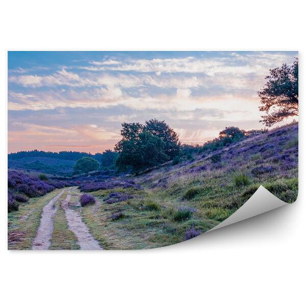 Poszter tapéta Földút dombok és mocsarak között