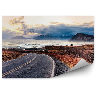 Öntapadó fotótapéta Közúti út fű víz sziget