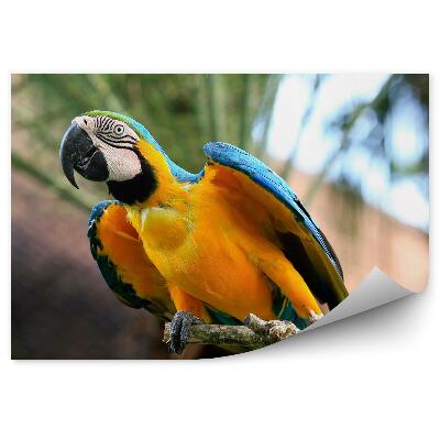 Fotótapéta Egy ara papagáj repülni készül