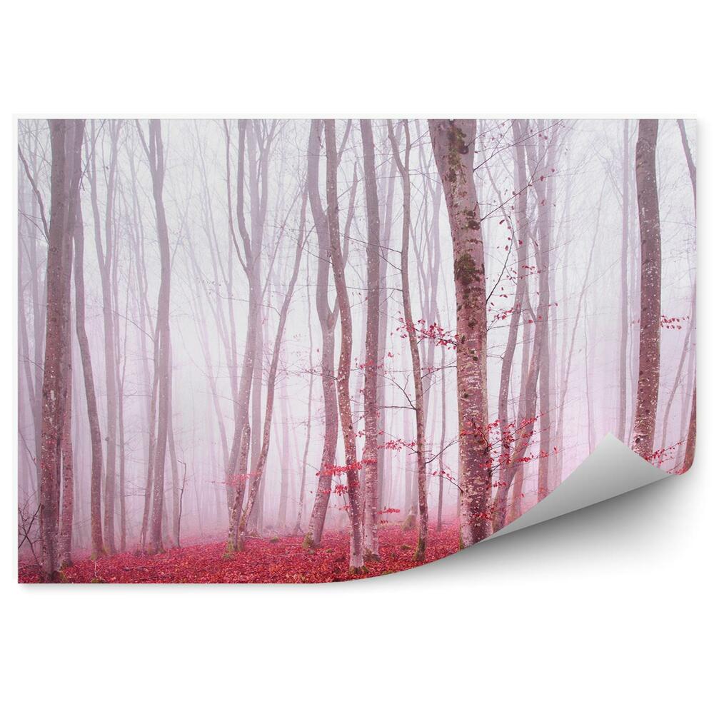 Öntapadós fotótapéta falra Varázslatos köderdő