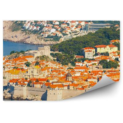 Poszter tapéta Dubrovnik falai város házak fák