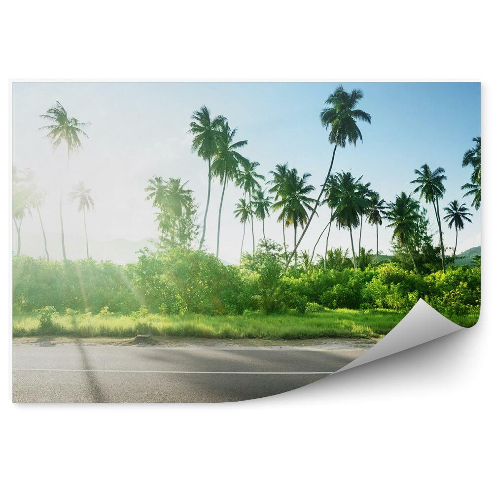 Poszter tapéta üres út dzsungel fák növények égbolt felhők Seychelle-szigetek