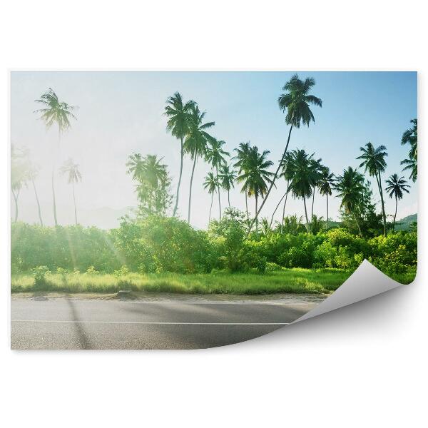Poszter tapéta üres út dzsungel fák növények égbolt felhők Seychelle-szigetek
