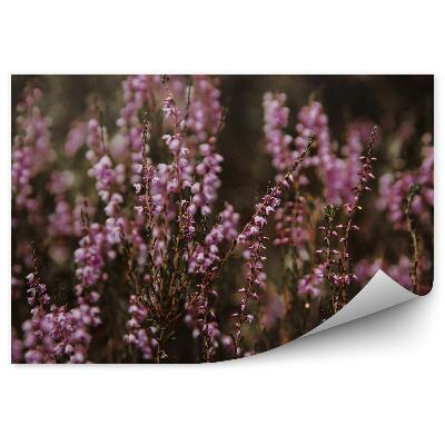 Fotótapéta Sötét hanga