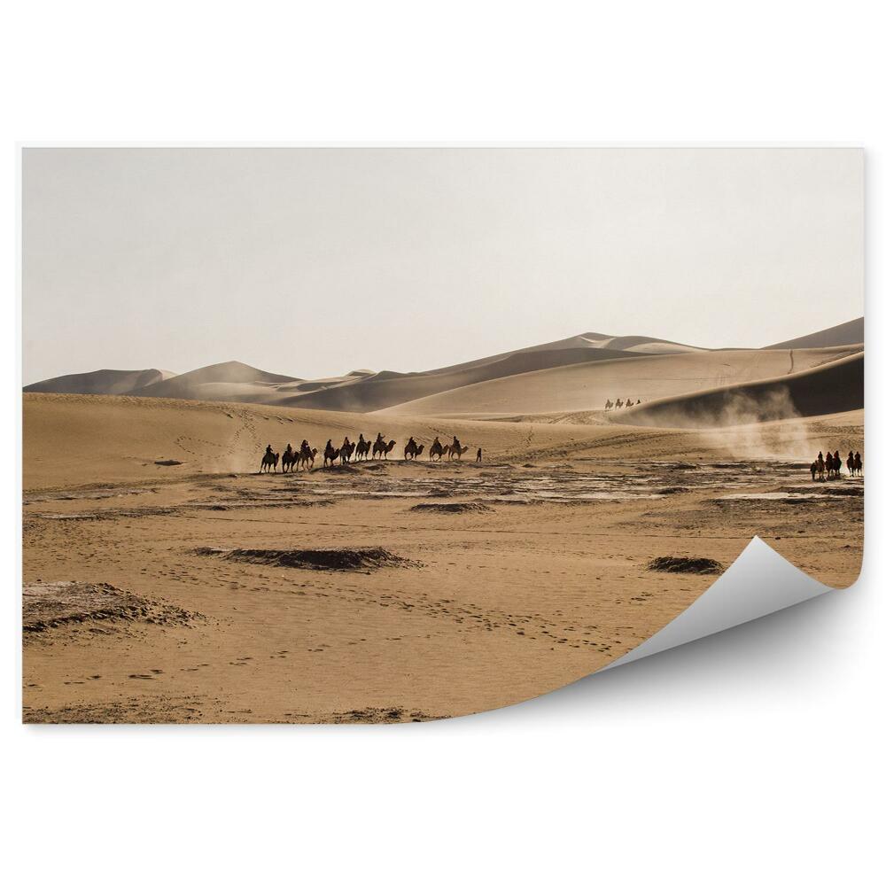 Öntapadó fotótapéta Góbi sivatagi kínai tevék égbolt