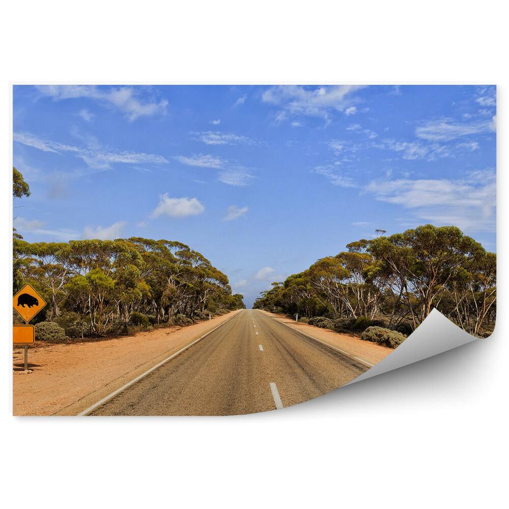 Öntapadós fotótapéta falra Útjelzési út közúti természet fák