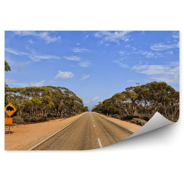 Öntapadós fotótapéta falra Útjelzési út közúti természet fák