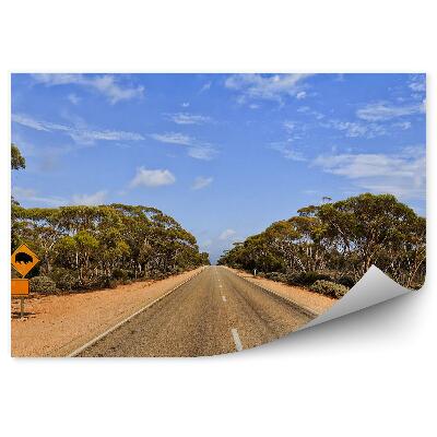 Öntapadós fotótapéta falra Útjelzési út közúti természet fák