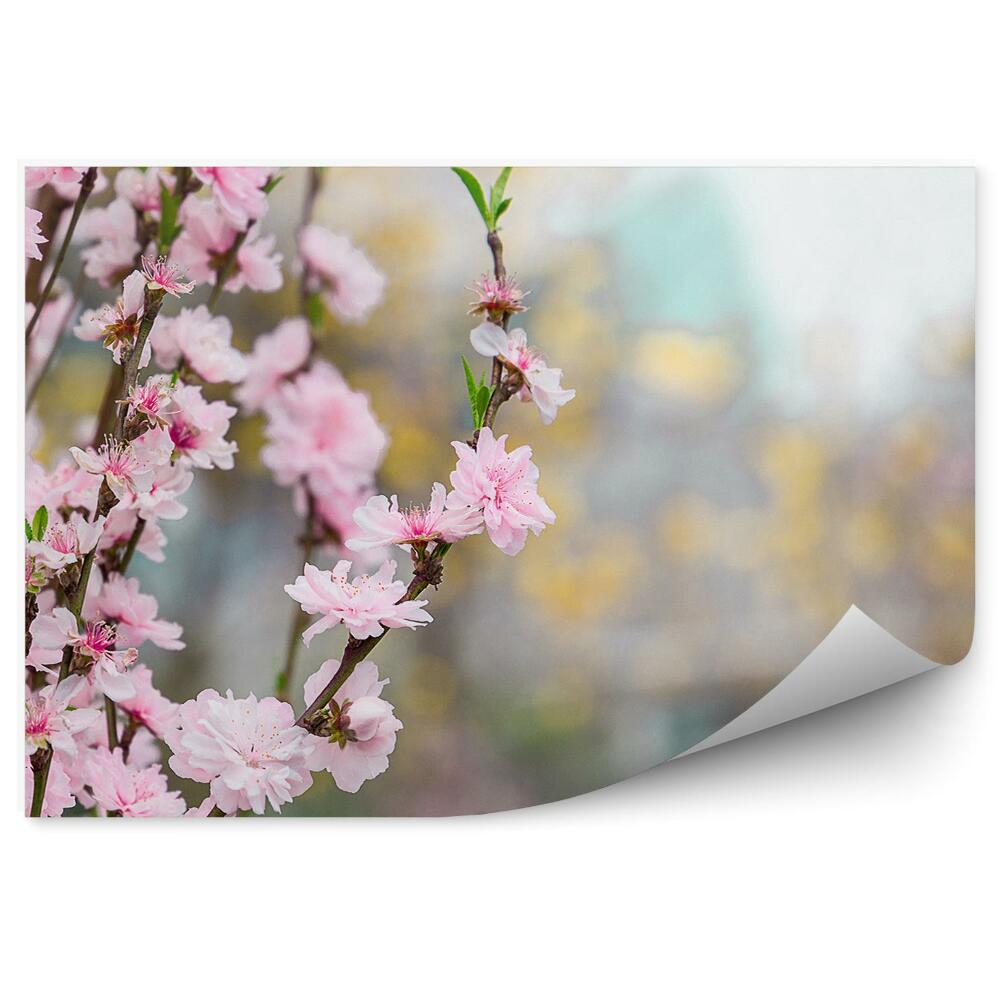 Fotó poszter tapéta Cseresznyevirágok természet növényzet kerti porcelán