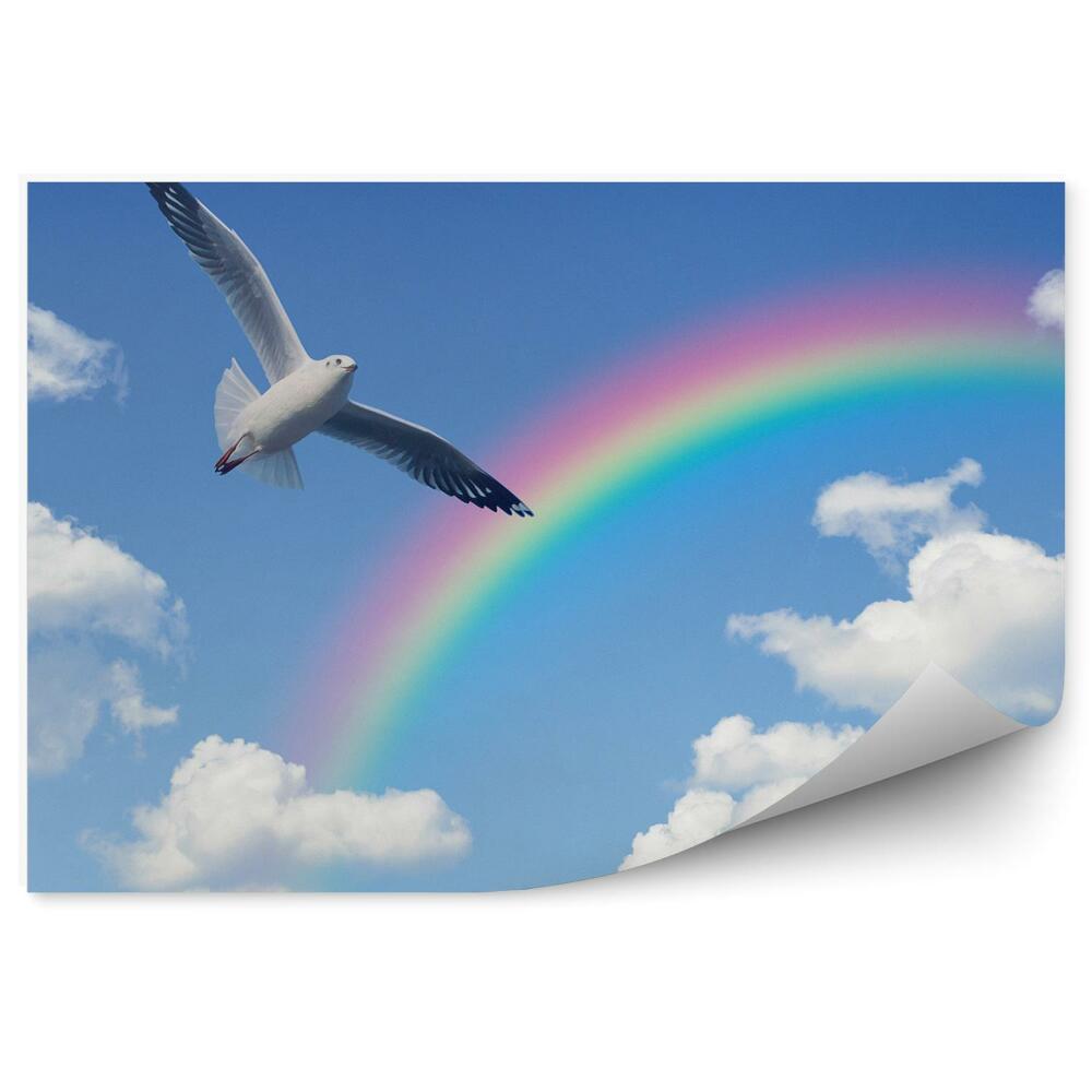 Öntapadó fotótapéta Szivárványos ég felhői fehér galamb