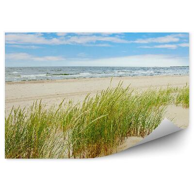 Fotótapéta dűne fű strand Lengyelország Balti-tenger