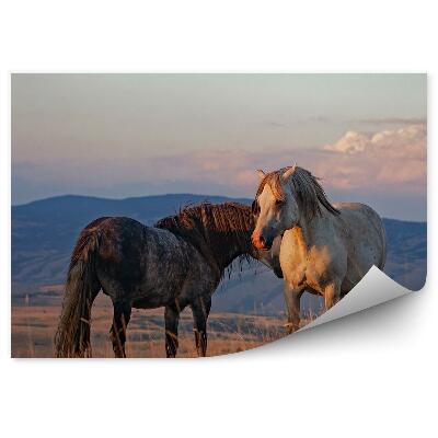 Öntapadós fotótapéta falra Glade fehér fekete ló fű dombok felhők