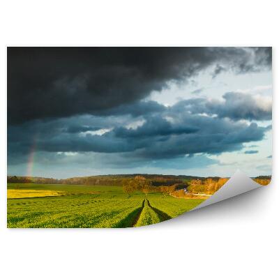 Öntapadó fotótapéta Mező fák ég felhők szivárvány